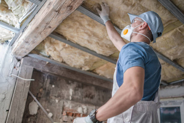 Best Insulation Installation Services in Lincoln, MT